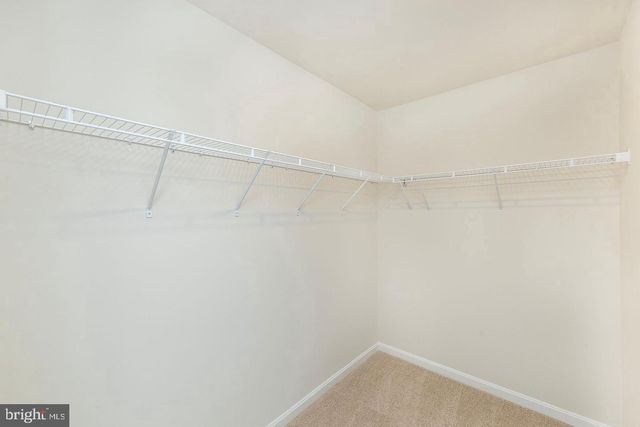 174 HAMSTEAD DR, Stephens City, VA 22655