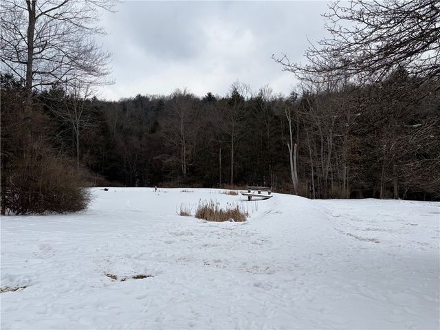 2213 Brown Hollow Road, Corning, NY 14830