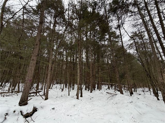 2213 Brown Hollow Road, Corning, NY 14830