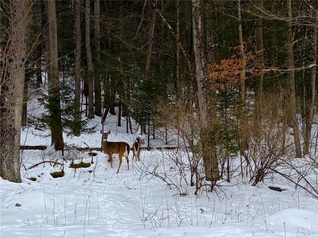 2213 Brown Hollow Road, Corning, NY 14830