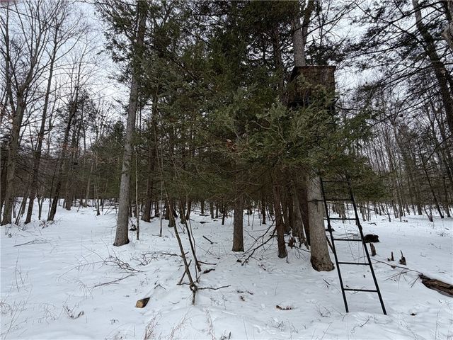 2213 Brown Hollow Road, Corning, NY 14830