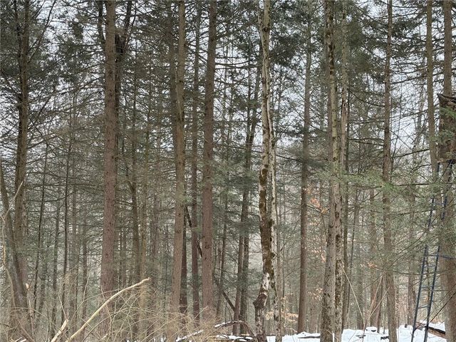 2213 Brown Hollow Road, Corning, NY 14830