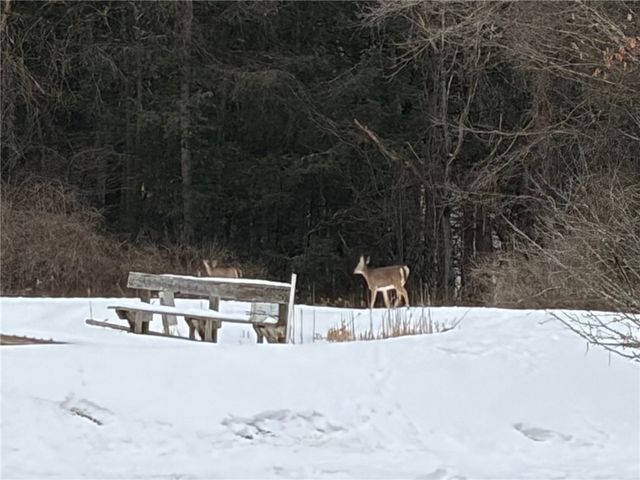 2213 Brown Hollow Road, Corning, NY 14830