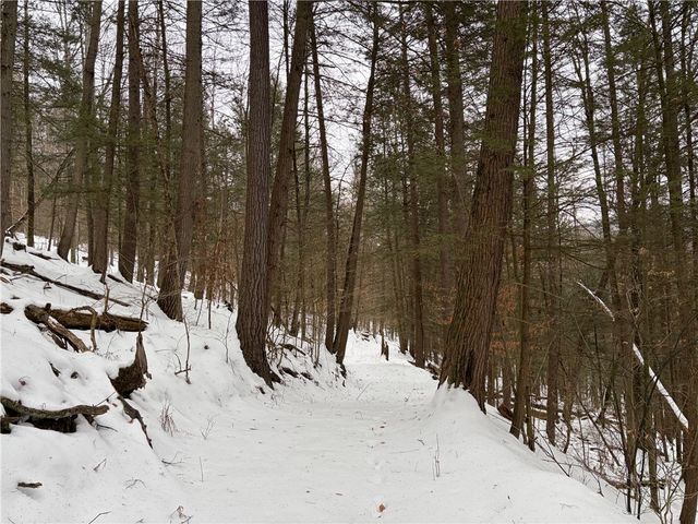 2213 Brown Hollow Road, Corning, NY 14830