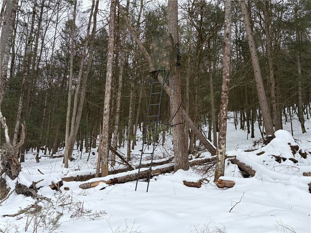 2213 Brown Hollow Road, Corning, NY 14830