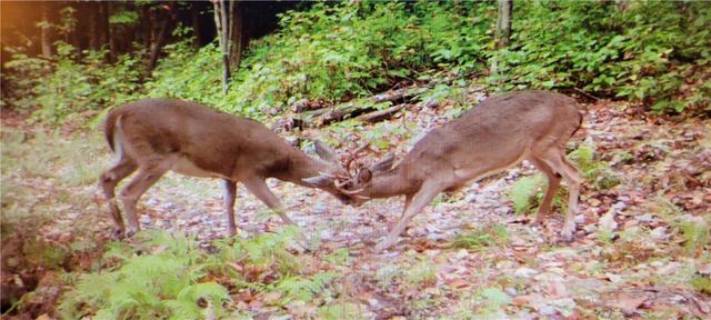 2213 Brown Hollow Road, Corning, NY 14830