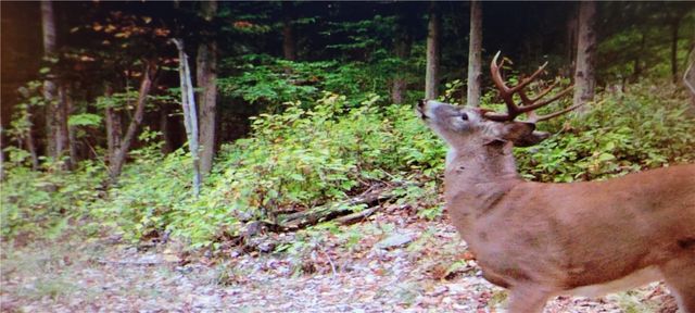 2213 Brown Hollow Road, Corning, NY 14830