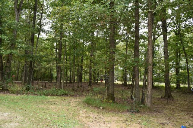 271 Ingman Cliff Rd, Tracy City, TN 37387