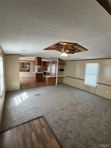 20017 Hartford Rd., Dixon, MO 65459