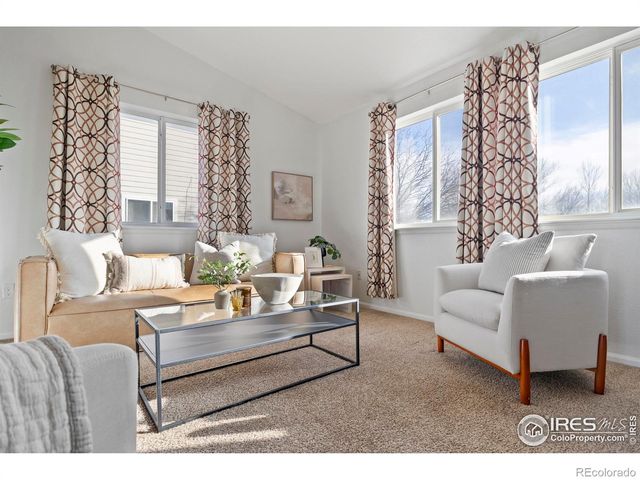 303 W Juneberry Street, Milliken, CO 80543