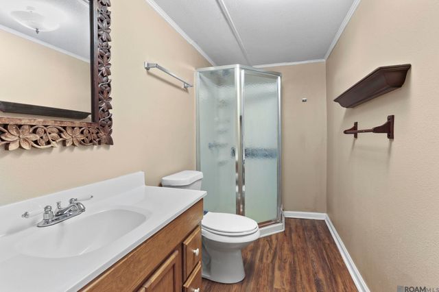 246 Bayou Tranquille Rd, Pierre Part, LA 70339