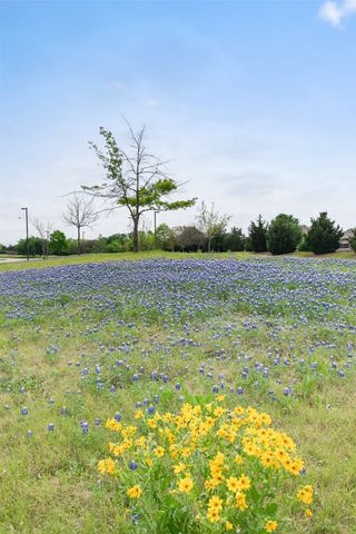 520 Alden Way, Allen, TX 75013