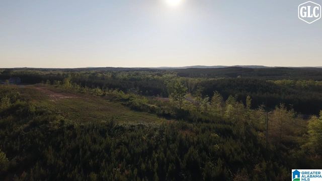 100 HERITAGE PINES BOULEVARD, Chelsea, AL 35051