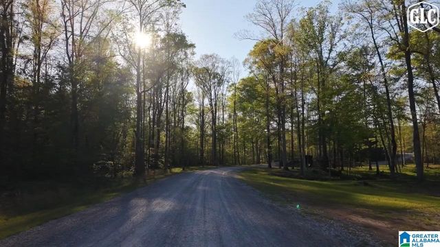 100 HERITAGE PINES BOULEVARD, Chelsea, AL 35051