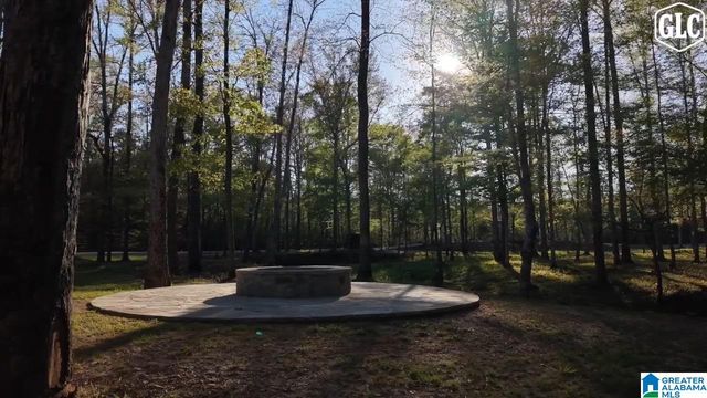100 HERITAGE PINES BOULEVARD, Chelsea, AL 35051