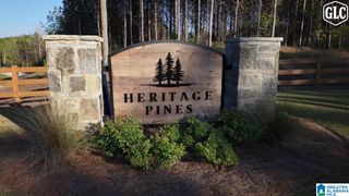 100 HERITAGE PINES BOULEVARD, Chelsea, AL 35051