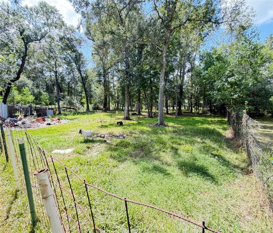 30011 Black Cherry Street, Magnolia, TX 77354