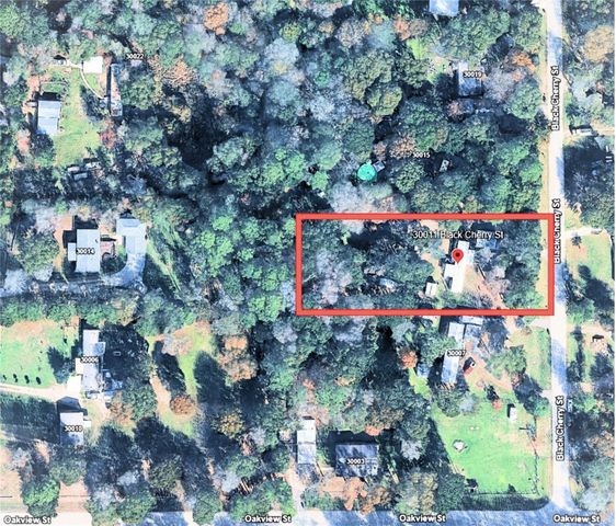 30011 Black Cherry Street, Magnolia, TX 77354