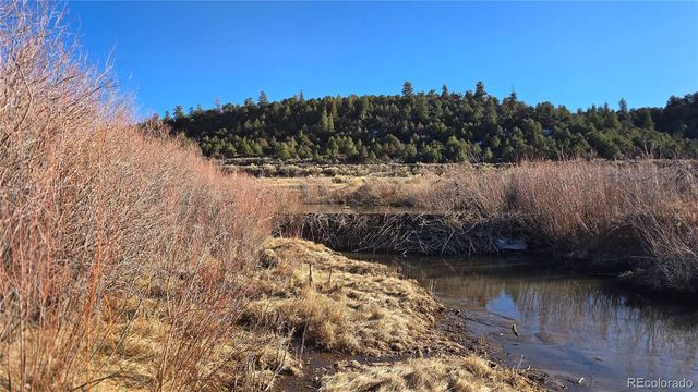 Lot 7542 Indian Creek Road, Fort Garland, CO 81133
