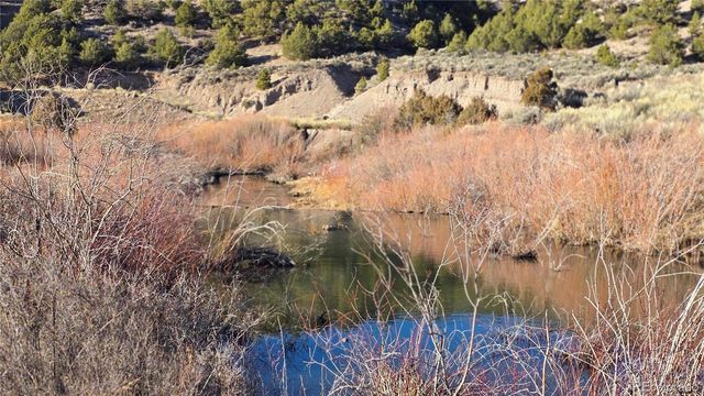 Lot 7542 Indian Creek Road, Fort Garland, CO 81133
