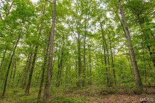 123 Buttry Lane, Wappapello, MO 63966