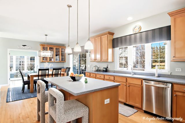 9 Laurel Valley Court, Lake In The Hills, IL 60156