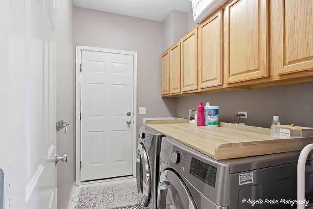 9 Laurel Valley Court, Lake In The Hills, IL 60156