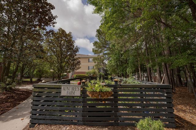 1508 Basildon Road, Mount Pleasant, SC 29466