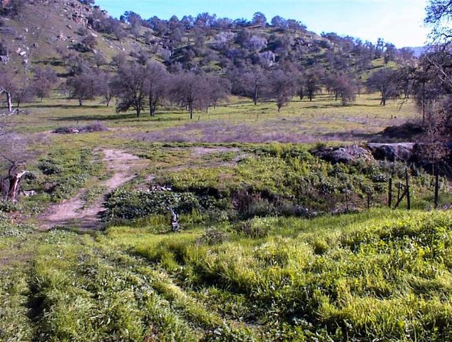 37702 Squaw Valley Road, Yokuts Valley, CA 93675