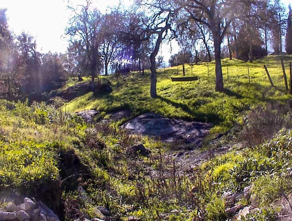 Image 35 of property listing at 37702 Squaw Valley Road, Yokuts Valley, CA 93675