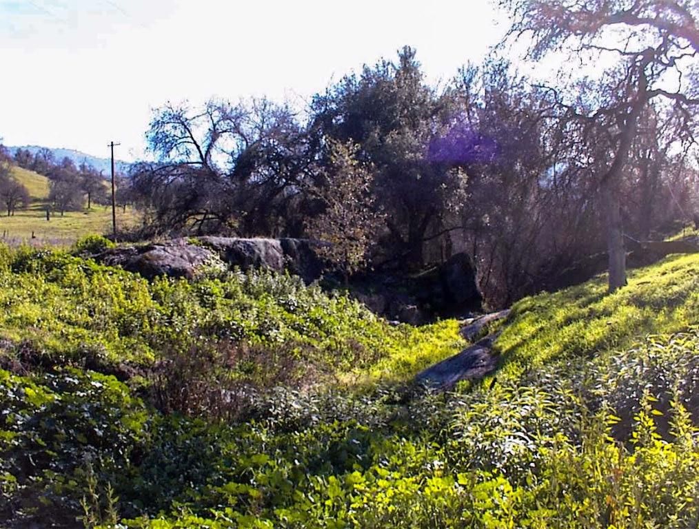 Image 37 of property listing at 37702 Squaw Valley Road, Yokuts Valley, CA 93675