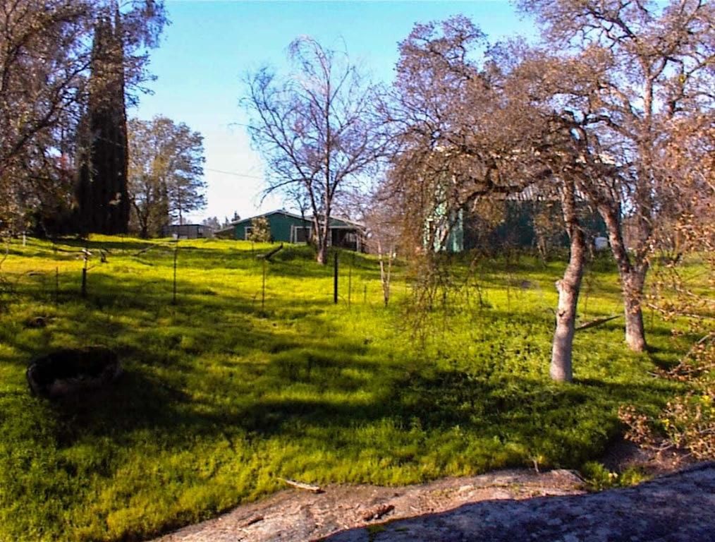 Image 38 of property listing at 37702 Squaw Valley Road, Yokuts Valley, CA 93675