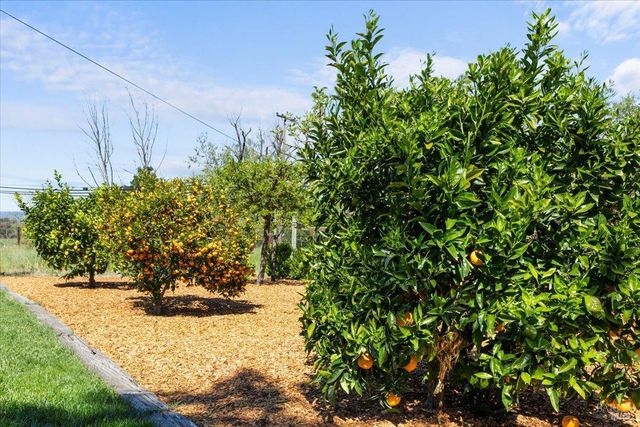 4818 Bennett Valley Rd, Santa Rosa, CA 95404