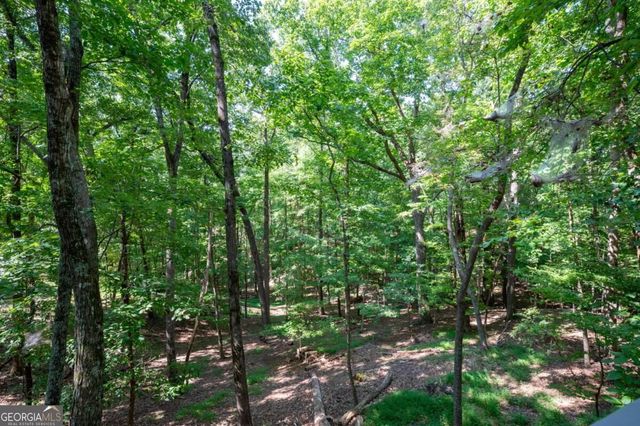 174 Trout Lily Trail, Jasper, GA 30143