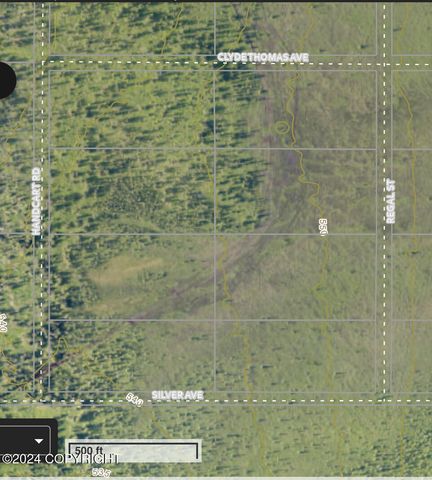 33790 Handcart Road, Anchor Point, AK 99556