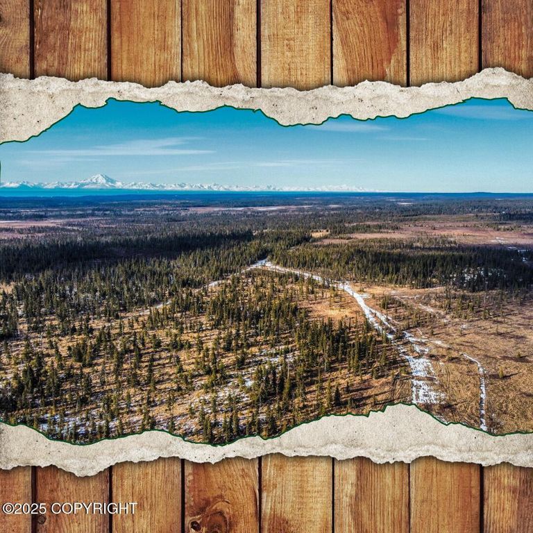 33790 Handcart Road, Anchor Point, AK 99556