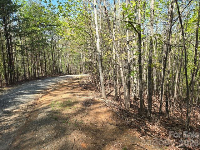 Lot 4 Hibiscus Court, Lake Lure, NC 28746