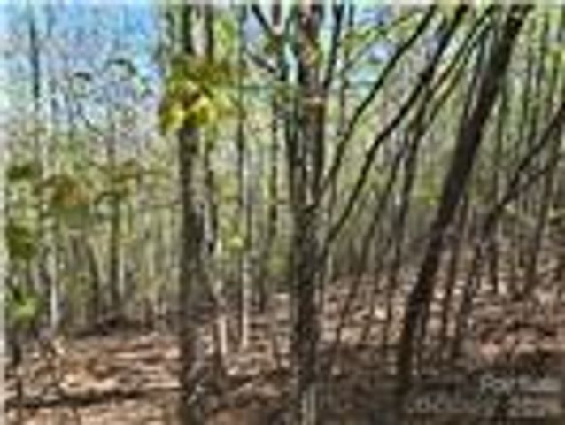 Lot 4 Hibiscus Court, Lake Lure, NC 28746