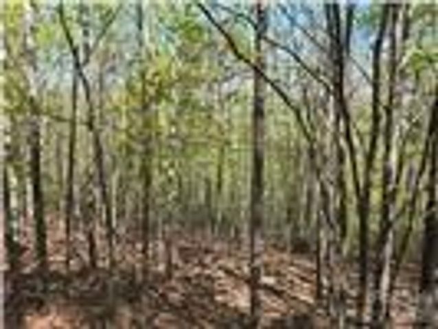 Lot 4 Hibiscus Court, Lake Lure, NC 28746
