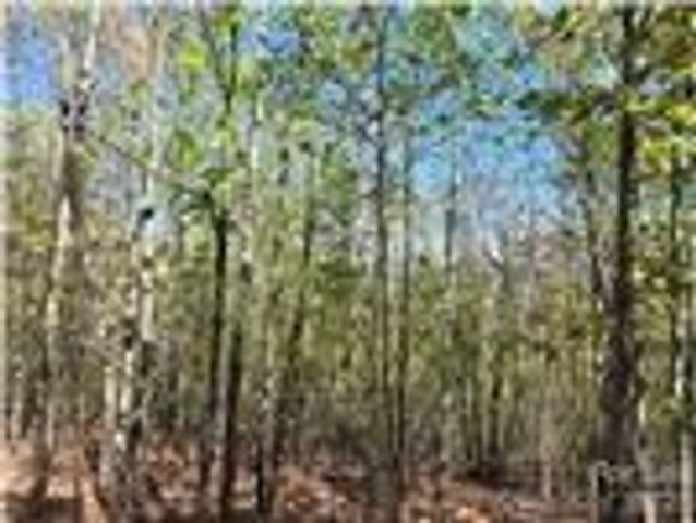 Lot 4 Hibiscus Court, Lake Lure, NC 28746