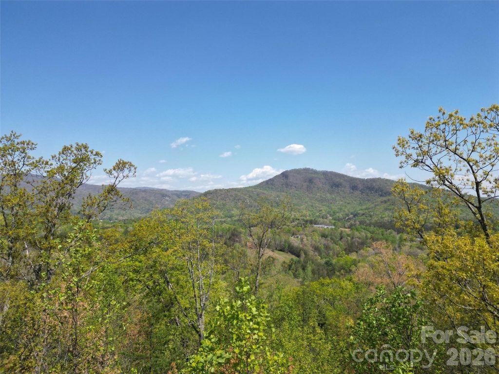 Lot 4 Hibiscus Court, Lake Lure, NC 28746