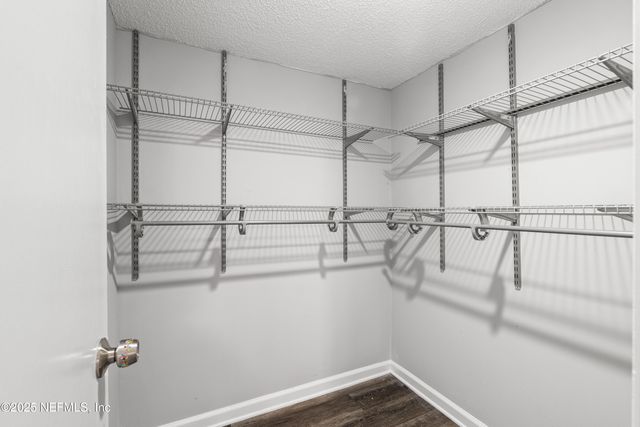 2607 SANDY HOLLOW Drive, Middleburg, FL 32068