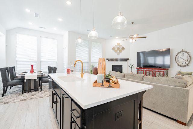 1925 Braided Mane Avenue, Aubrey, TX 76227