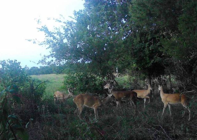 1601 Ragel, Weatherford, TX 76087