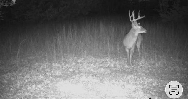 1601 Ragel, Weatherford, TX 76087