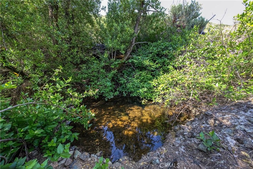 Image 13 of property listing at lot 1 Butts Canyon Road, Pope Valley, CA 94567