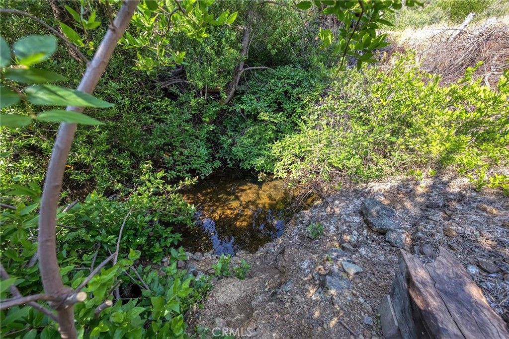 Image 14 of property listing at lot 1 Butts Canyon Road, Pope Valley, CA 94567
