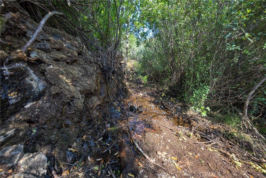 Image 15 of property listing at lot 1 Butts Canyon Road, Pope Valley, CA 94567