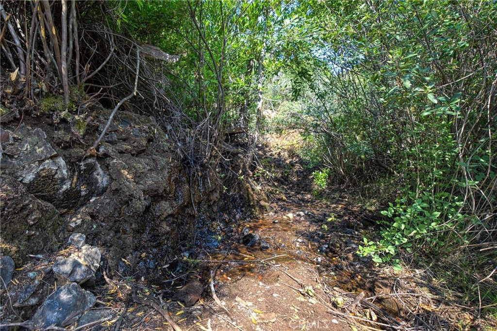 Image 17 of property listing at lot 1 Butts Canyon Road, Pope Valley, CA 94567