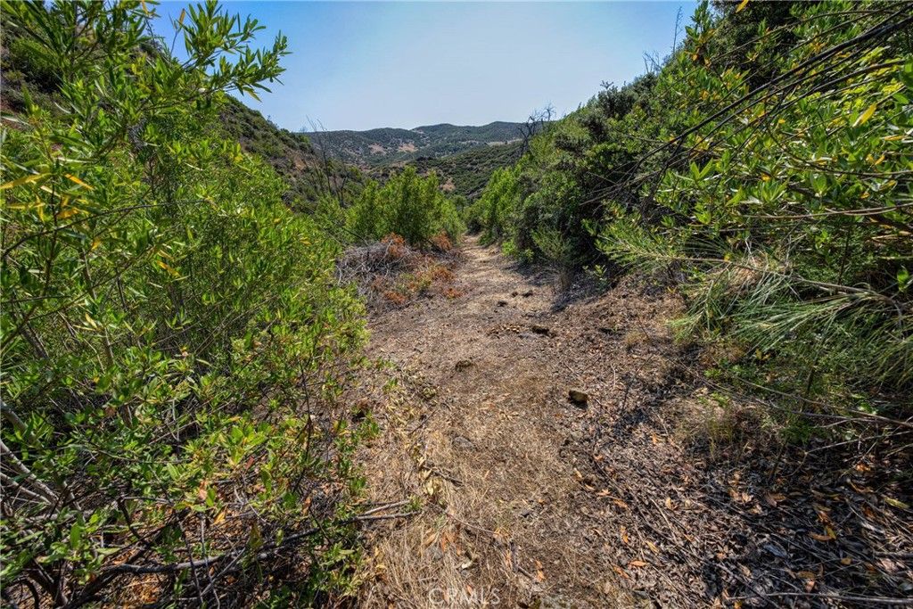 Image 19 of property listing at lot 1 Butts Canyon Road, Pope Valley, CA 94567